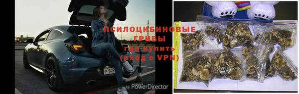 МДПВ Абаза
