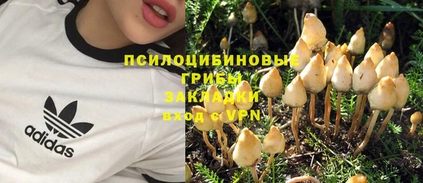 спайс Абдулино
