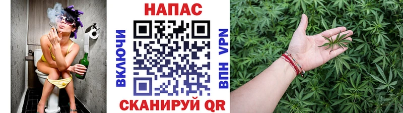 Шишки марихуана планчик  купить  цена  Щёкино 